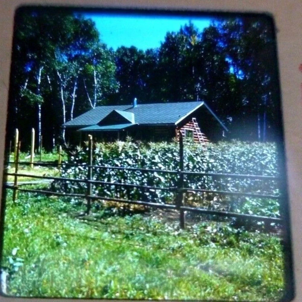 Vintage Stereo Slide Huston Lockwoods Cabin Angle Inlet Minnesota 3D View MN